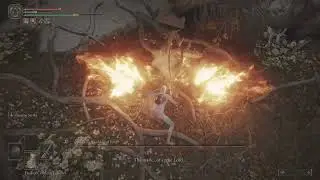 Malenia solo Ng - hitless - Monk's Flameblade - Flaming Strike series
