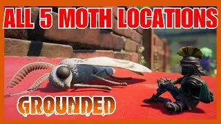 All 5 Moth Locations - Grounded