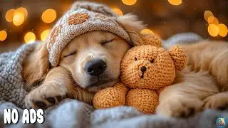 12 HOURS of Relaxing Music For Dogs 🎵 Separation Anxiety for Dogs Home Alone💖No Ads