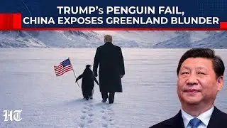 China Turns Trump’s Penguin Meme Into Mockery? Xi Jinping Roasts US, 'No Penguins In Greenland...'