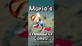 Mario's Strangest Cameo