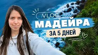 5 дней на Мадейре. Влог.