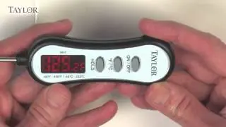 Taylor LED Thermometer