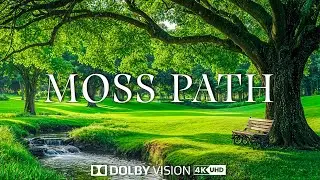 Moss Path - Epic Cinematic Music 4K