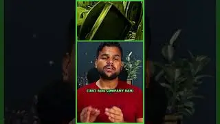 The Rise of Videocon