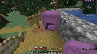 Aethel SMP S4: Boob prank