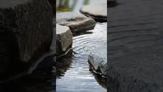Slow River of Light &mdash; Ambient Pads & Nature | Slow Tempo for Deep Focus, Meditation, Yoga & Sleep