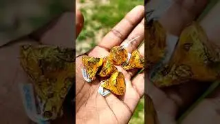 Hershey's Kisses Moments Chocolate || Happy Celebration #shorts