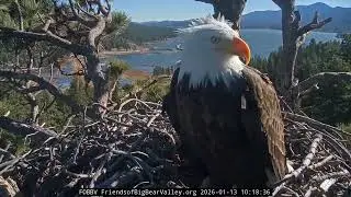 Jan 13, 2026 | Productive Morning: Eight Sticks and a Pancake 🦅