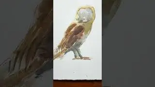 5 attempts to paint this owl   #aquarelle #watercolour #bird #owl