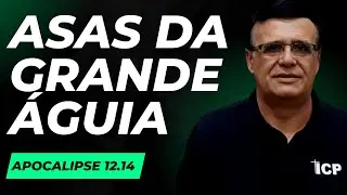 Apocalipse 12.14 - Foram dadas à mulher as duas asas da grande águia.