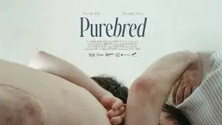 Purebred // Iris Prize Nominated Queer Drama // Official Clip