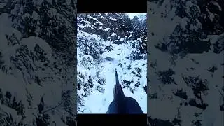 охота на кабана в условиях полного снега #wildboar#hunting#cinghiale#challenge#chase#snow