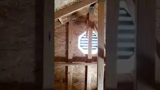What's in your attic.