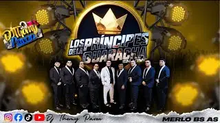 SET LOS PRINCIPES DE LA GUARACHA 2026 EXITOS | FEBRERO 2026 | DJ THOMY PAVON