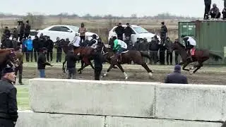 Скачки в Искра 02.04.2025 5 км