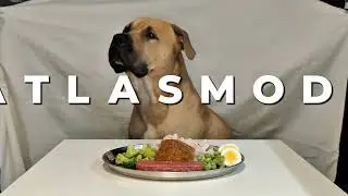 Can a Dog Really Enjoy Carrots? 🥕 Atlas ASMR