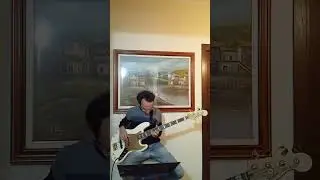 Red Hot Chilli Peppers - STADIUM - ARCADIUM - Bass Cover.