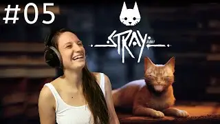 ON A LE DEFLUXOR ! DIRECTION LES &Eacute;GOUTS #05 | STRAY [FR] LET'S PLAY