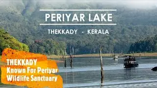 PERIYAR LAKE THEKKADY | periyar Tiger Reserved forest #ALHADITRAVELS