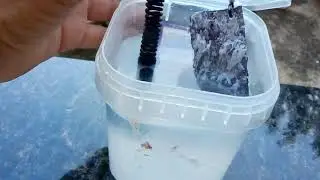 Reator para colher gans de ZNO super f&aacute;cil !!