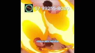 Serv Service 67 99255-8080 #ControleDePragas #CasaSegura #Dedetiza&ccedil;&atilde;o #ProtejaSuaFam&iacute;lia#ServService