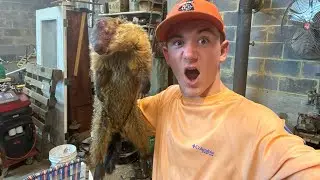 I trapped a groundhog!!!!! (Catch and cook)
