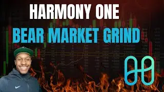 Harmony ONE Locking Up Value In The Bear Market: Harmony ONE News Today