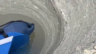DPOL&reg; | Efficient Removal of Fine Surface Pollution (Pollen, Dust, Sanding Residue)