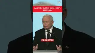 Jarosław Kaczyński o aferze posła Mejzy #polityka #mejza #polska