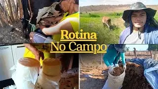 Tirando leite e silagem, gado em novo cercado, produção de queijo, banhamos as vacas.