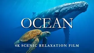 Ocean 4K | Scenic Relaxation Film with Calm Music | 4k Video