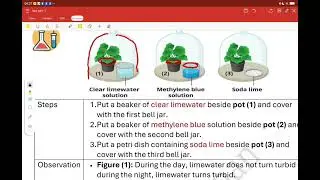 middle two unit three lesson two 