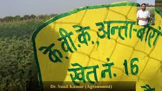 Instructional Farm Krishi Vigyan Kendra. Beej kese peda kia jata hai. #khetikadoctor