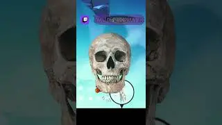 I LOVE BRAWLHALLA | twitch.tv/kriiyytics #brawlhalla #gaming #livestream #twitchstream #streamer