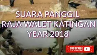 Sp raja walet katingan