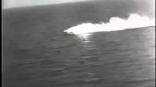 Beaufighter Shot Down by Enemy Flak