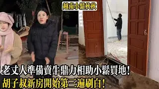 老丈人準備賣牛鼎力相助小松買地！胡子叔新房開始第三遍刷白！【小松秋秋生活日常】