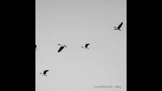Lovewillsaveus - Boring  (Japanese Post Rock, Shogaze, Shogazer)