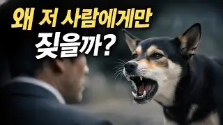 진돗개가 사람보는 법