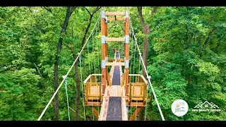 Discover The Stunning Canopy Walk At Hidden Lake Gardens in Irish Hills MI!