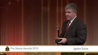 Ignite Sales wins a Stevie Award at The 2015 American Business Awards