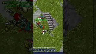 Zangoose M Adamant  @jonathanpatrick9196 #otpokemon #tibia #otp #catch #mmorpg #multiplayer