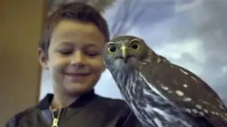 A Day at Featherdale Wildlife Park
