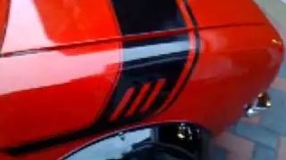 Australian Mini Clubman GT decal stripes