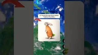 😳I Found Strange Huge Rabbit On Google Earth 🤯! #shorts #findmysterioussecrets