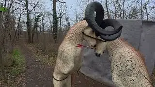 Shooting a Simsek Bora Norm Ottoman Bow at Pillichsdorf 3D Archery - Austria