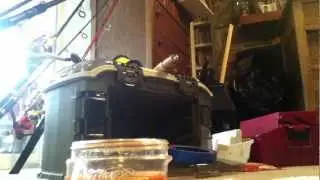 How to put shrimp on a jig head.