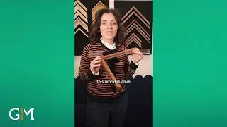 Gm- Noce americano