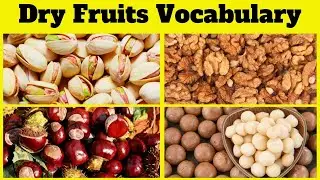 🍑🌰 Dry fruits Vocabulary l Learn Dry Fruits Names in English With Pictures 🖼️#KuboEnglishVocabulary